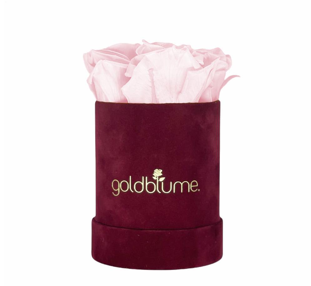 Velvet Bordeaux Collection - Goldblume 
