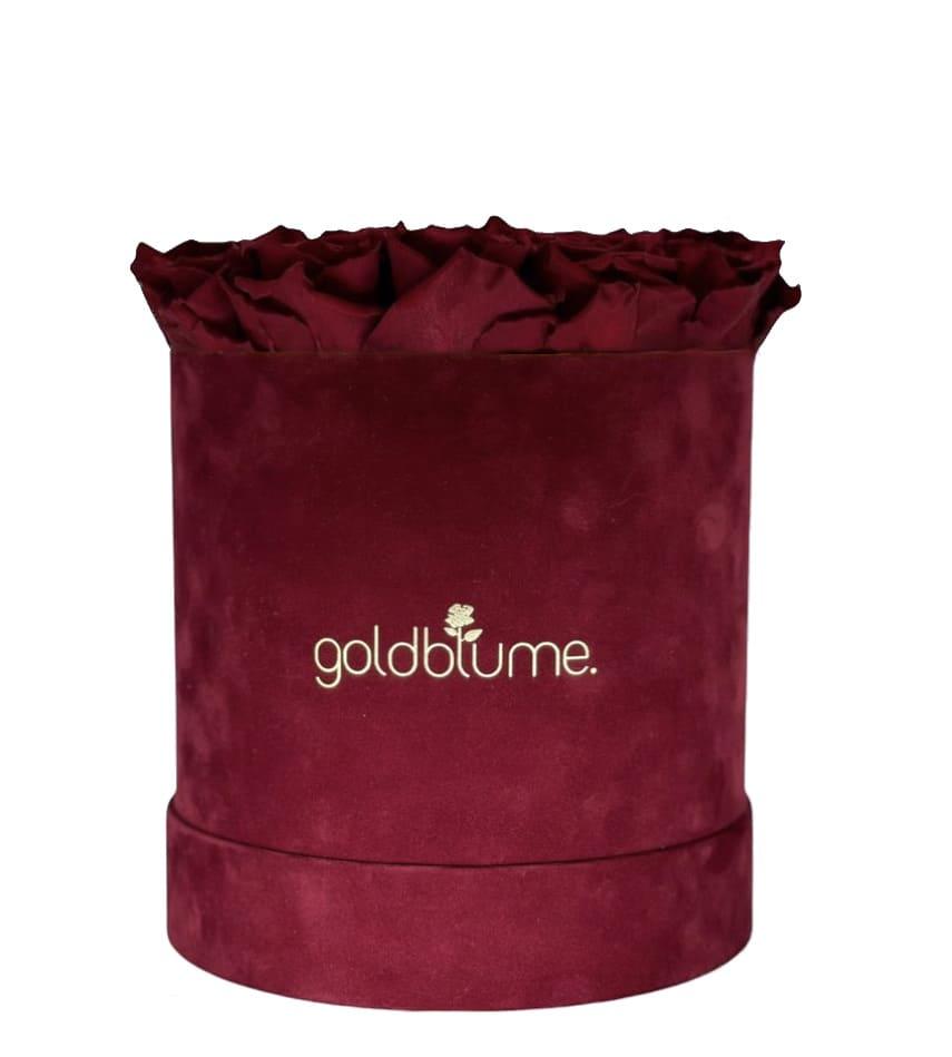 Velvet Bordeaux Collection - Goldblume 