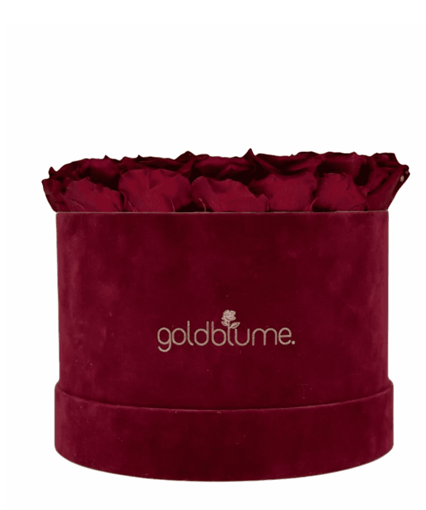 Velvet Bordeaux Collection - Goldblume 