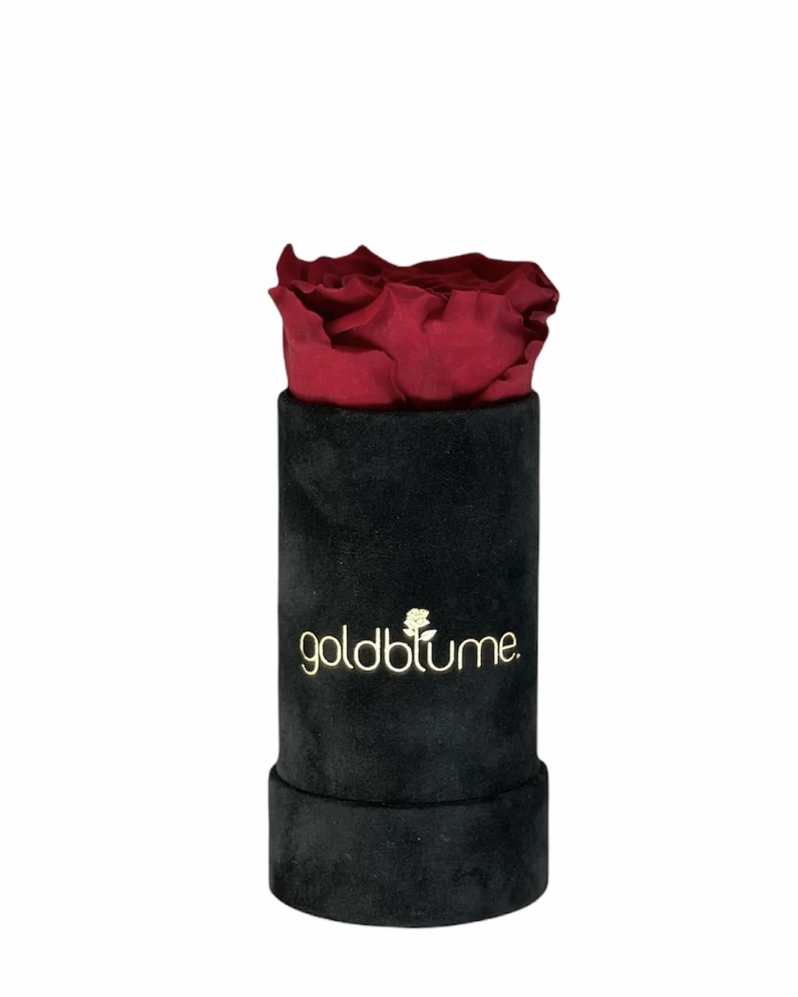 Velvet Black Collection - Goldblume 