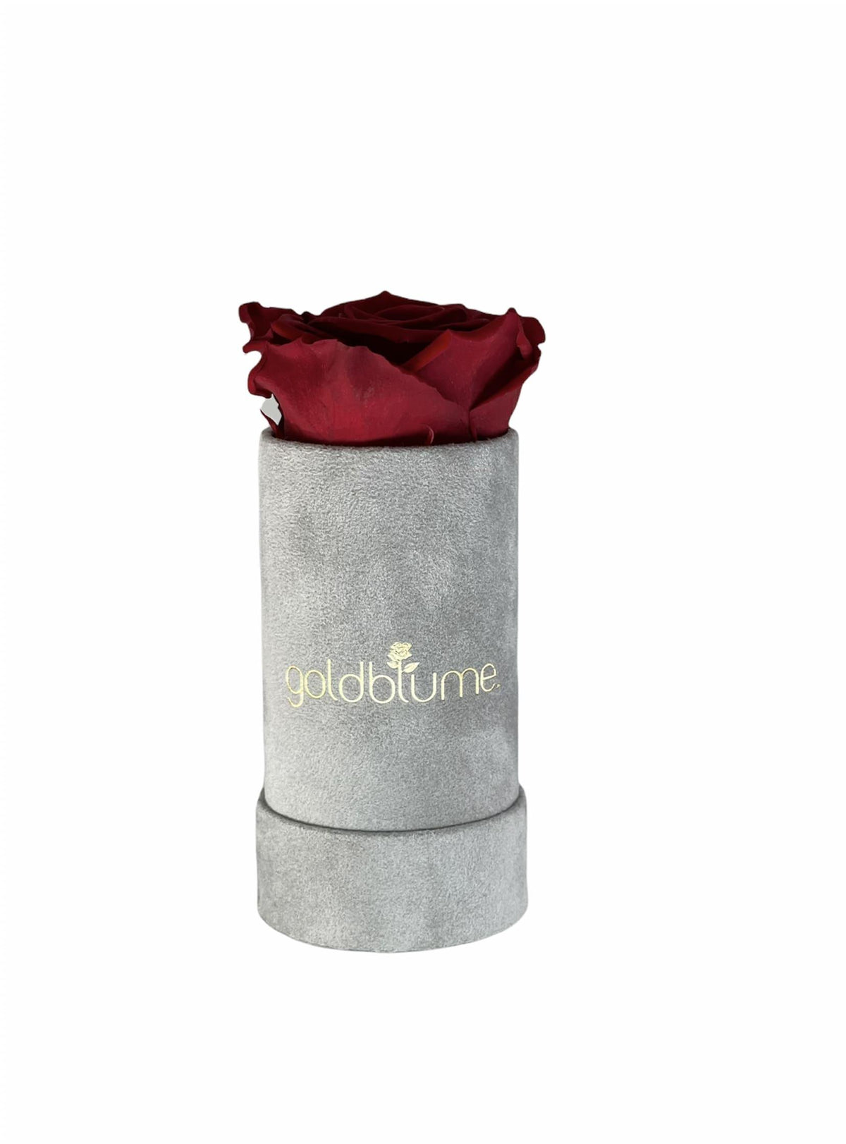 Velvet Grey Collection - Goldblume 