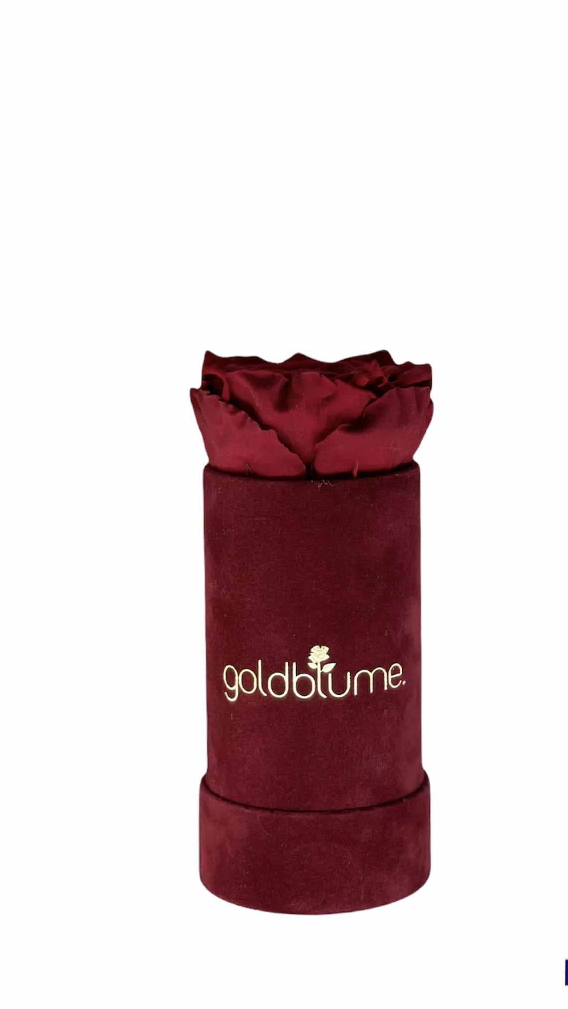 Velvet Bordeaux Collection - Goldblume 