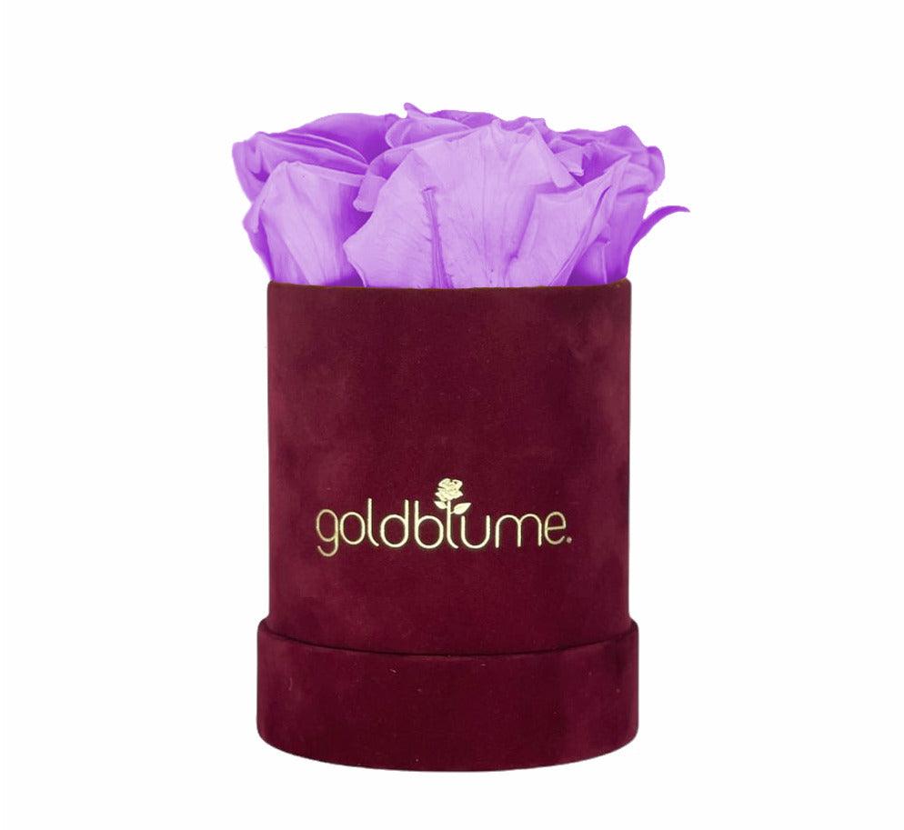 Velvet Bordeaux Collection - Goldblume 