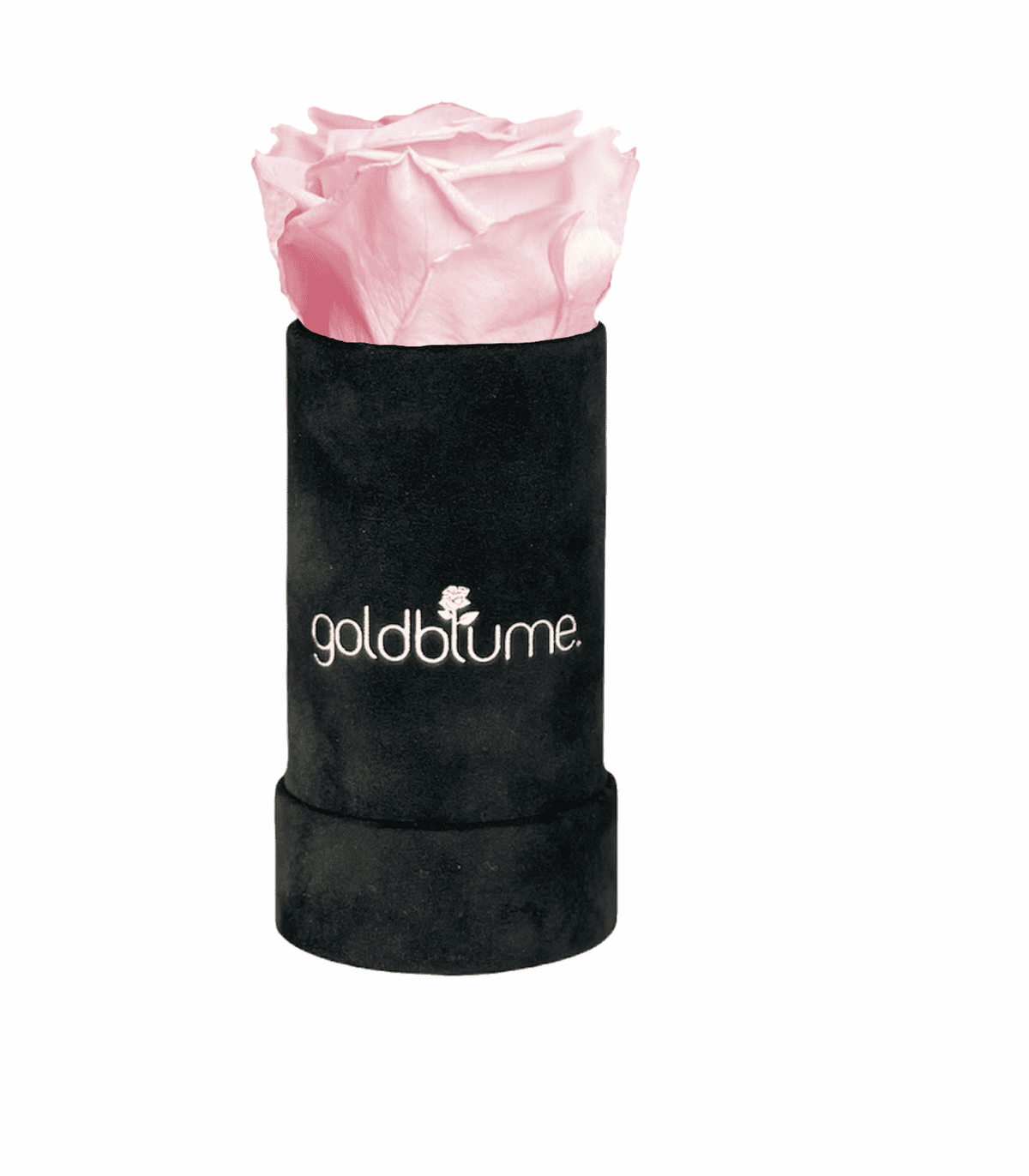 Velvet Black Collection - Goldblume 