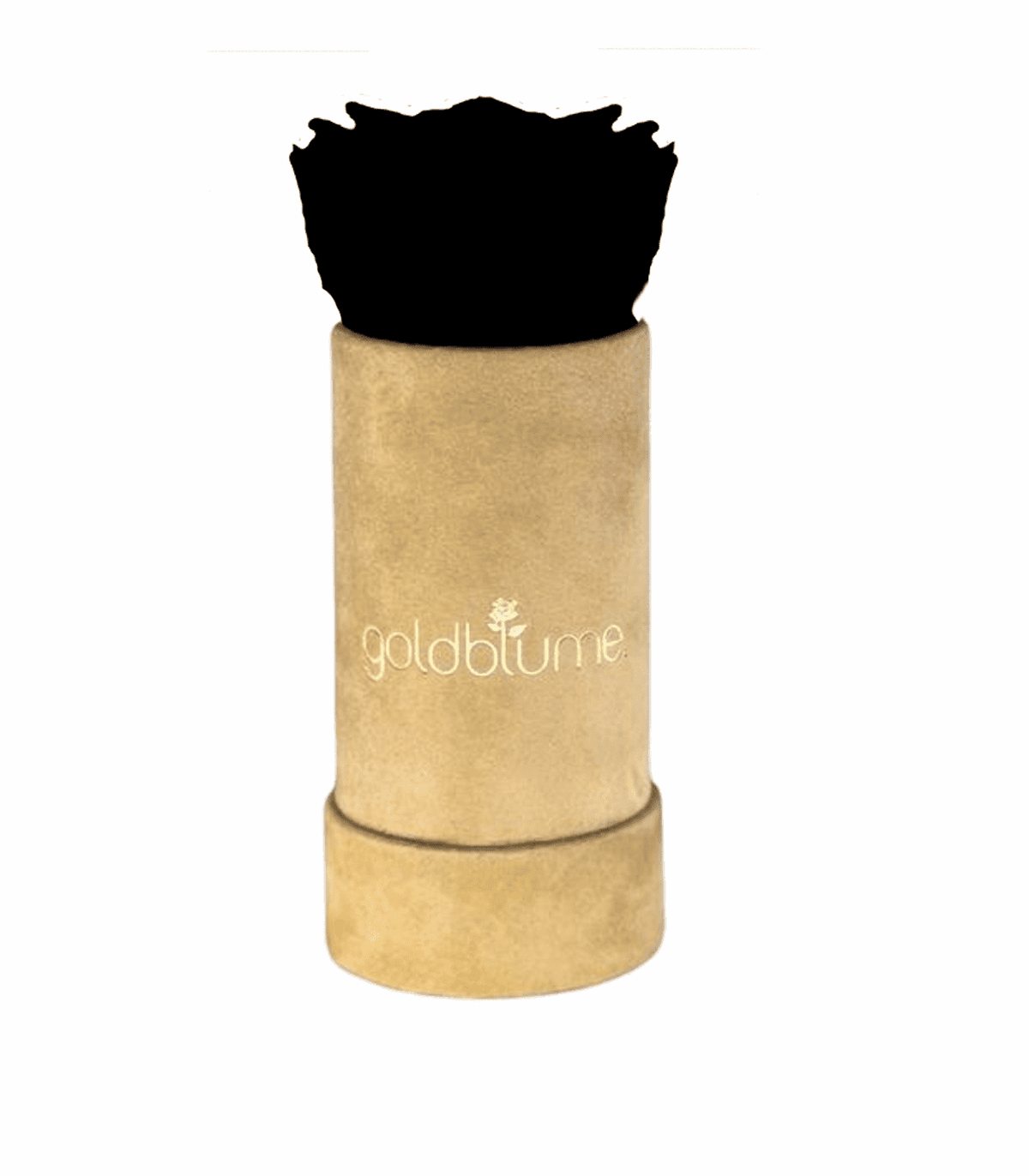 Velvet Beige Collection - Goldblume 
