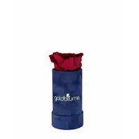 Velvet Royal Collection - Goldblume 