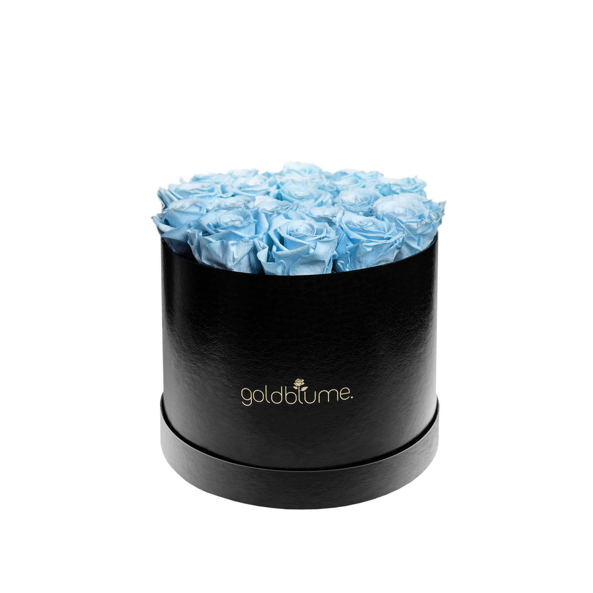 Die Klassische Large - Goldblume 