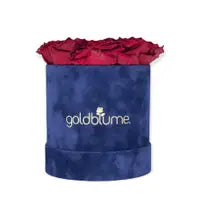 Velvet Royal Collection - Goldblume 