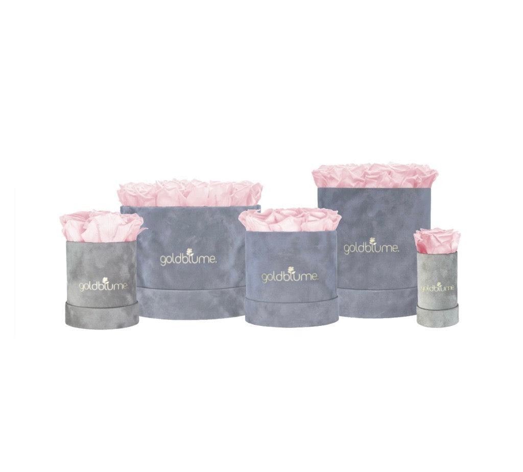Velvet Grey Collection - Goldblume 