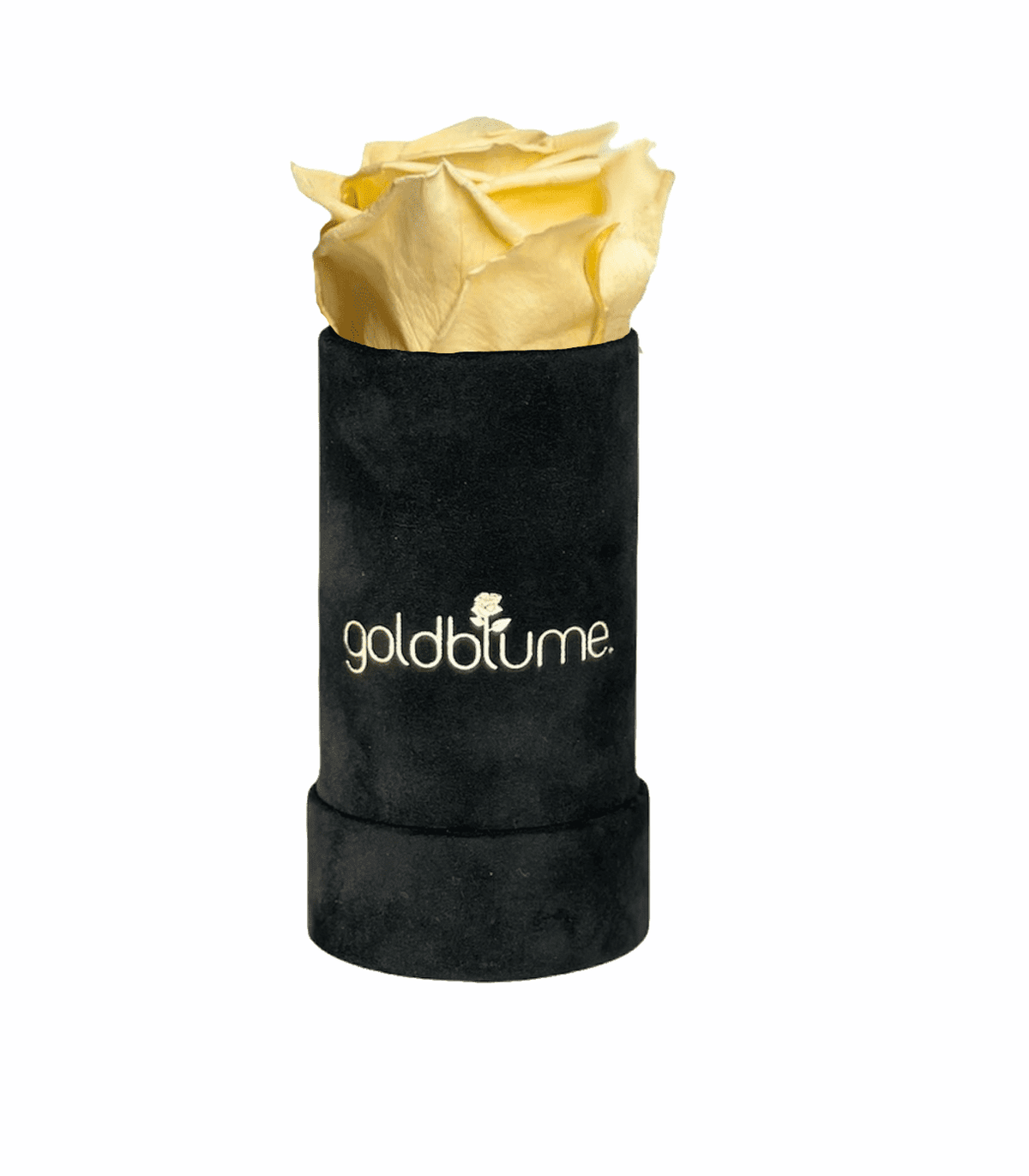Velvet Black Collection - Goldblume 
