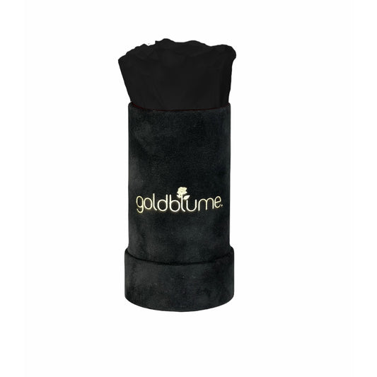Velvet Black Collection - Goldblume 