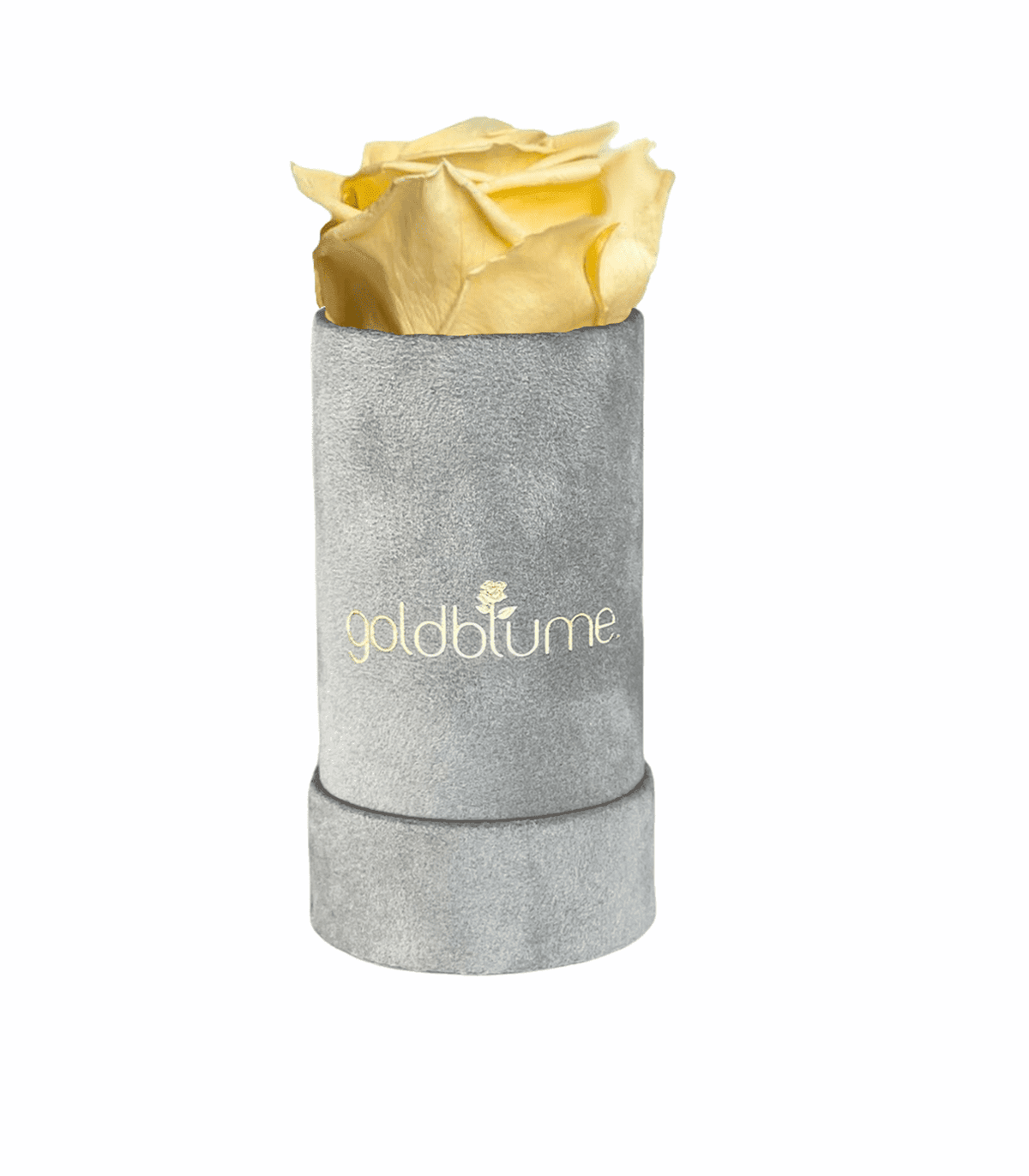 Velvet Grey Collection - Goldblume 