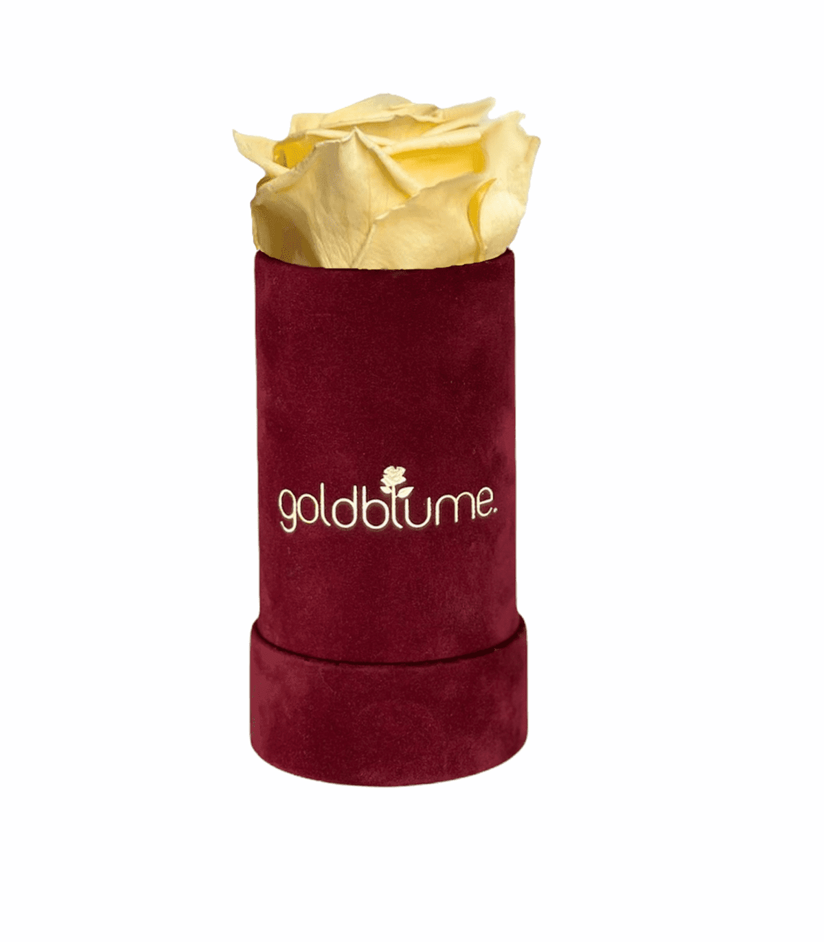 Velvet Bordeaux Collection - Goldblume 