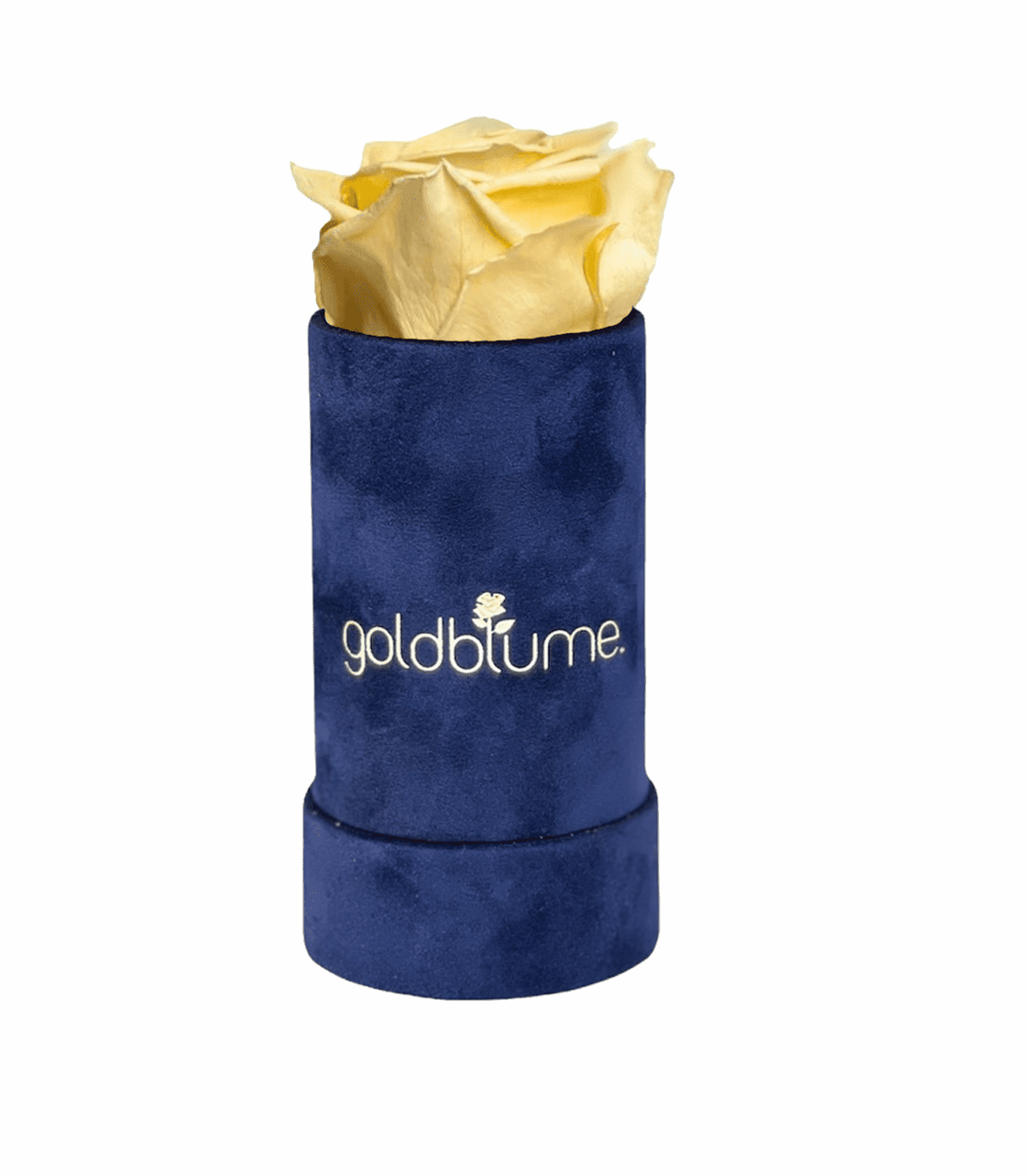 Velvet Royal Collection - Goldblume 