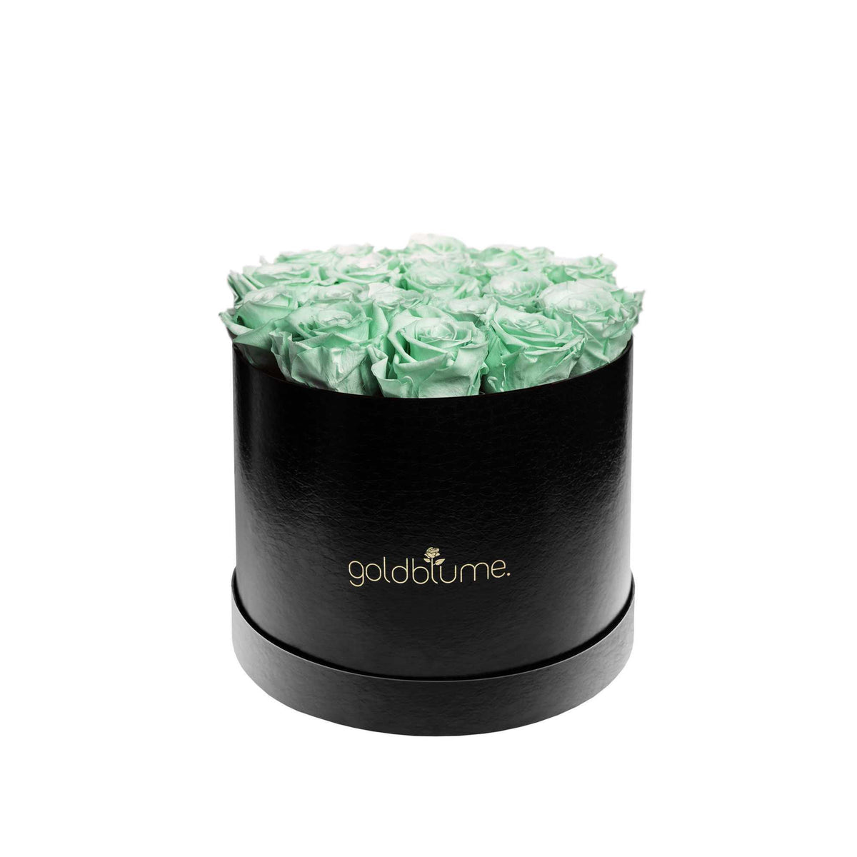 Die Klassische Large - Goldblume 