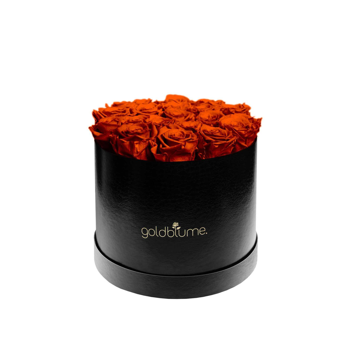 Die Klassische Large - Goldblume 