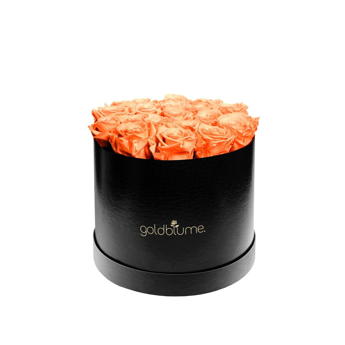 Die Klassische Large - Goldblume 