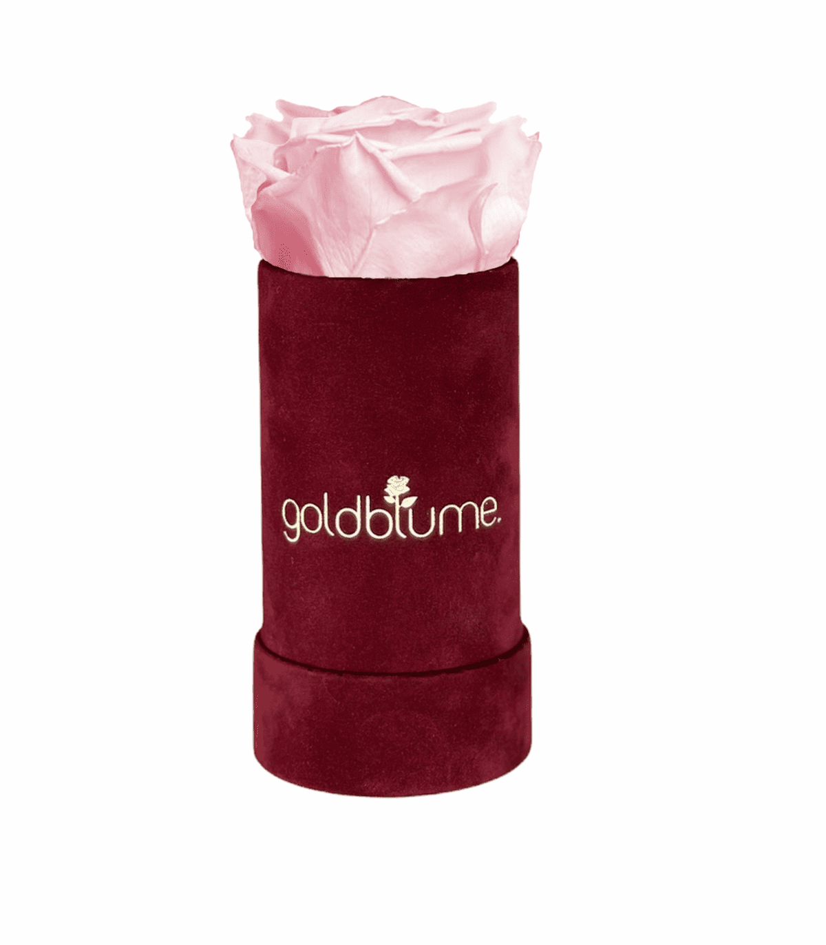 Velvet Bordeaux Collection - Goldblume 